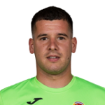 Vladimir Damjanović