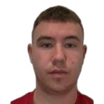Karlo Surbek