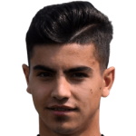 Stefan Ghinea