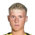 Armann Ingi Finnbogason