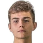 Dominik Triska