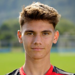 Iannis Negruț