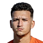 Vinicius Henrique Zagurski Ferreira