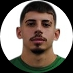 Vasilis Gkoutzioupas