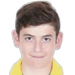 Vasilis Violaris