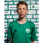 Teodor Sibul