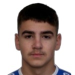 Karlo Rudić