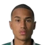 Ruan Cassio Diniz Gomes