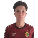 Matheus Germano Cerutti