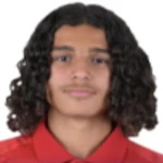 Mehdi Tlili