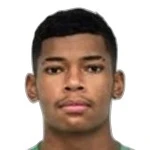 Nicolas Borges