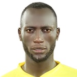 Salah Mahmoud Nemer