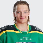 Niklas Peltomaki
