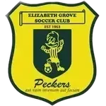 Elizabeth Grove - Ev Sahibi Takım Logosu