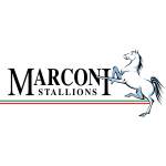 Marconi - Ev Sahibi Takım Logosu