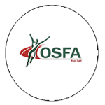 Cosfa - Deplasman Takım Logosu
