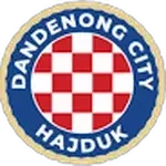 Dandenong City SC U23