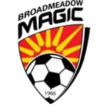 Broadmeadow - Away Team Logo