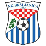 NK Bršljanica